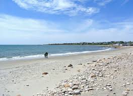 Beachcombing Buzzards Bay Coalition