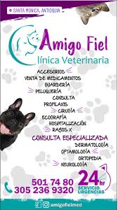 Veterinaria mi amigo fiel