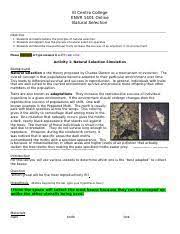 Natural selection student guide answer key. Envr 1401 Natural Selection Lab 5 Answers Pdf Objective 1 Students Will Demonstrate The Principle Of Natural Selection 2 Students Will Explain How Course Hero