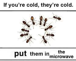 We did not find results for: If You Re Cold They Re Cold Meme Ahseeit