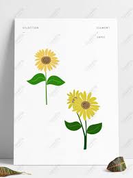 50 gambar bunga matahari foto wallpaper hd sketsa kartun. Kain Animasi Segar Bunga Matahari Comel Yang Ringkas Menetapkan Gambar Unduh Gratis Imej 732319197 Format Psd My Lovepik Com