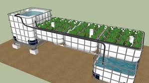 Large Preview Of 3d Model Of Tristrin S First Ibc System Aquaponics System Backyard Aquaponics Aquaponics