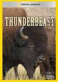 国家地理特别节目：美洲( zhōu)野牛求生录》精品视频最新风云纪录在线观看-HD高清完整版-声剧园(azadhardware.com)