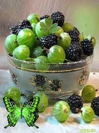 Gif Paradise Berries Fruit Recipes Mixed Berries