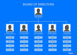 Download Free Organizational Chart 1 In 2019