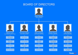 download free organizational chart 1 in 2019