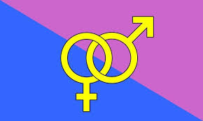 Even though there is no official heterosexual flag. Heterosexual Flags Fahnen Flaggen Fahne Flagge Flaggenshop Fahnenshop Versand Kaufen Bestellen