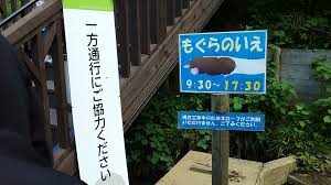 おしえて もぐら先輩 小野寺美奈 税理士事務所