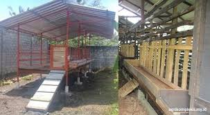 Kandang merupakan tempat tinggal untuk kambing. Peralatan Dan Perlengkapan Kandang Untuk Menunjang Kelancaran Usaha Ternak Domba