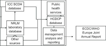 Structure Of The Greek Tb Surveillance And Notification