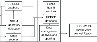 structure of the greek tb surveillance and notification