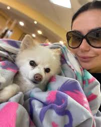 I see your dms about my doggies and yes Bella (and Noel) are doing well ❤️  today Bella went to the vet and lived her best car ride life 🥹 she's  turning