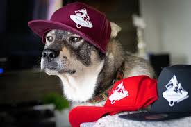 Kep me at bay (2019). Snapback Keps Med Logga Aredalens Hund Hast Ab