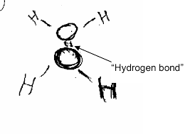 Anat's Drawing Of Two Molecules Of Water, Bonded By A "Hydrogen Bond". |  Download Scientific Diagram