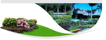 Check spelling or type a new query. Santa Barbara Nursery Plant Nursery Fruit Tree Nursery Nursery