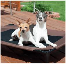 Maybe you would like to learn more about one of these? Amazon Canada Best Selling Dog Beds Save Up To 35 On Dog Beds Canadian Freebies Coupons Deals Bargains Flyers Contests Canada