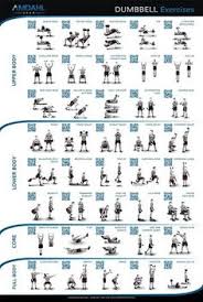 Dumbbell Workout Poster Pdf Sport1stfuture Org