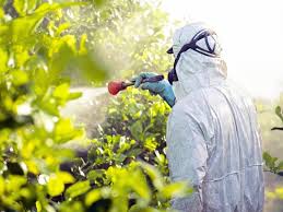 Los productos fitosanitarios y su importancia en la agricultura |  Suministros Luque