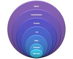 The word micro means small, so you need smaller amounts of micronutrients than of macronutrients. Homes Food Classification On Nutrition Basis