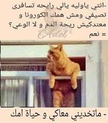 pin by juna mohamed on قفاشات funny pictures funny arabic quotes funny memes