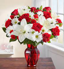 Bloom red and white flower images lily wedding every rose red and white flowers white flowers one rose fire and ice roses. Red White Delight Xaviers Florist Somerset