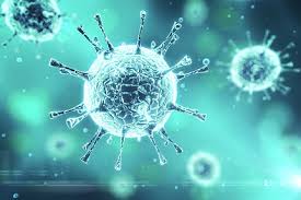 Authorities in china are scrambling to control the spread of the virus by ramping up almost 200 people have been infected since the virus was first detected at nanjing. Corona Virus Dr Ing Pecher Und Partner Ingenieurgesellschaft Mbh