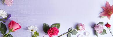 Maybe you would like to learn more about one of these? 1 800 Flowers Company Culture Comparably