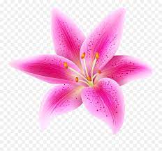 Black And White Flower Emoji Wwwtopsimagescom Pink Flower Emoji Free Transparent Emoji Emojipng Com