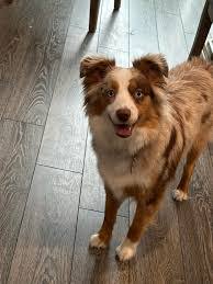 Janelle Beard's Instagram, Twitter & Facebook