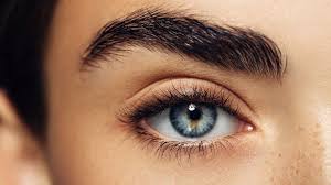 Maybe you would like to learn more about one of these? Why Meeting Another S Gaze Is So Powerful Bbc Future