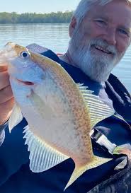 Aww that's too bad. I thought this one was pretty.