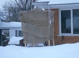 Préférez cependant l'automne alimentez en compost, fumier ou tout autre amendement organique, une fois par an, en fin d'hiver, en le répandant sur la surface au pied du rhododendron. Dites Non A La Protection Hivernale Jardinier Paresseux