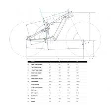 Gt Force Current Elektrisches Mountainbike 2020 Triton Cycles