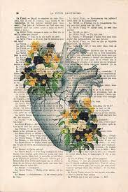 Heart Pansy Anatomy Botanical Flower Vintage Dessin Livre Etsy Vintage Art Prints Anatomy Art Vintage Drawing