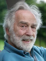 Hidden Nature: The Startling Insights of Viktor Schauberger: Amazon.co.uk:  Bartholomew, Alick, Bellamy, David: 9781931882484: Books