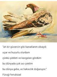dunya denilen yer artik bir cehennem animals bird