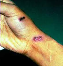 Subscribe to ketv on youtube now for more. What Happens If You Hit A Bullet From The Side Physics Forums