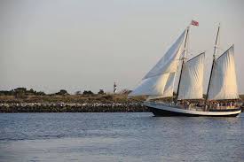 We did not find results for: Three Sheets To The Wind Schooner Freedom Charters