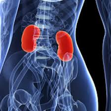 The american urological association (aua) recommends that men should start having a yearly prostate examination at age 50. Kidney Cancer The Most Common Symptoms
