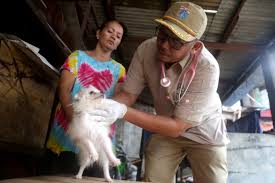 Are you a veterinary surgeon looking to start your own clinic? Fur Tunately Jakarta Provides Health Services For Flood Affected Pets City The Jakarta Post