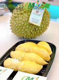 Hỗ trợ bà con kỹ thuật chăm sóc cây sầu riêng để mang lại hiệu quả kinh tế cao nhất. 1 Sáº§u Rieng Ri6 Huá»³nh Lam Sáº§u Rieng Nguyen Trai