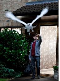 Harry Potter and the Deathly Hallows Part 1 — Film Review