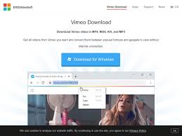 Now press enter or click submit. How To Download Videos From Vimeo Inspirationfeed