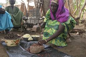 File Shea Nut Processing In Burkina Faso Jpg Wikipedia