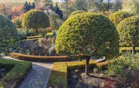 Large outdoor decoration plants plastic gr ball green. Cottage Garden With Green Lawn Hedges Trimmed Bushes And Large Stock Photo Picture And Royalty Free Image Image 111340610