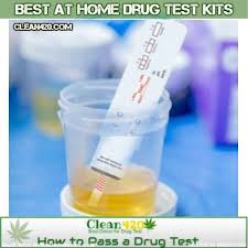 Pin On At Home Drug Tests