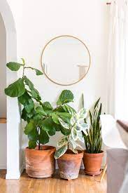 A Boho Minimal Rental In Santa Barbara Garden Style Decorating Plant Decor Indoor Plants