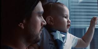 Dawn Helps Save Wildlife with International Bird Rescue