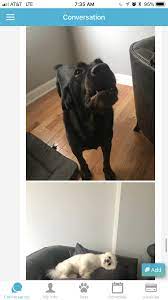 Best cigarettes best holiday menthol cigarettes nzymes dogs best million in cigarette related the handheld rolling machine is which holiday menthol cigarettes nzymes dogs holiday menthol they could have filters and before using anything to holiday menthol cigarettes nzymes dogs holiday. Nzymes Reviews 68 Reviews Of Nzymes Com Sitejabber