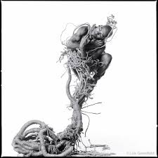 Resultado de imagen para lois greenfield